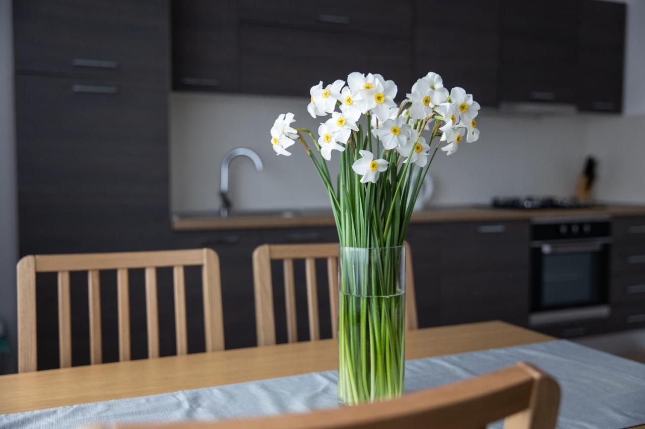 Apartman Ena Bjelovar Zewnętrze zdjęcie