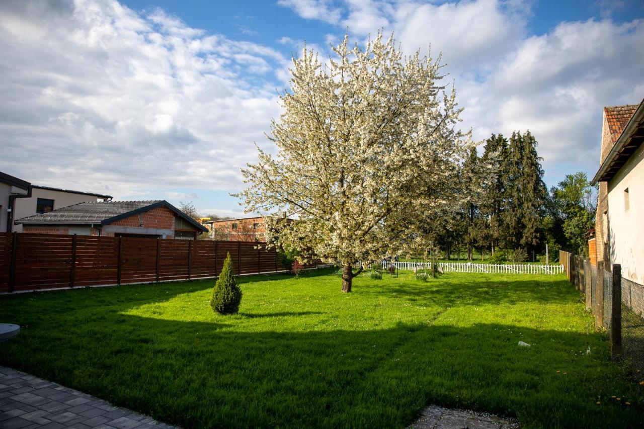 Apartman Ena Bjelovar Zewnętrze zdjęcie